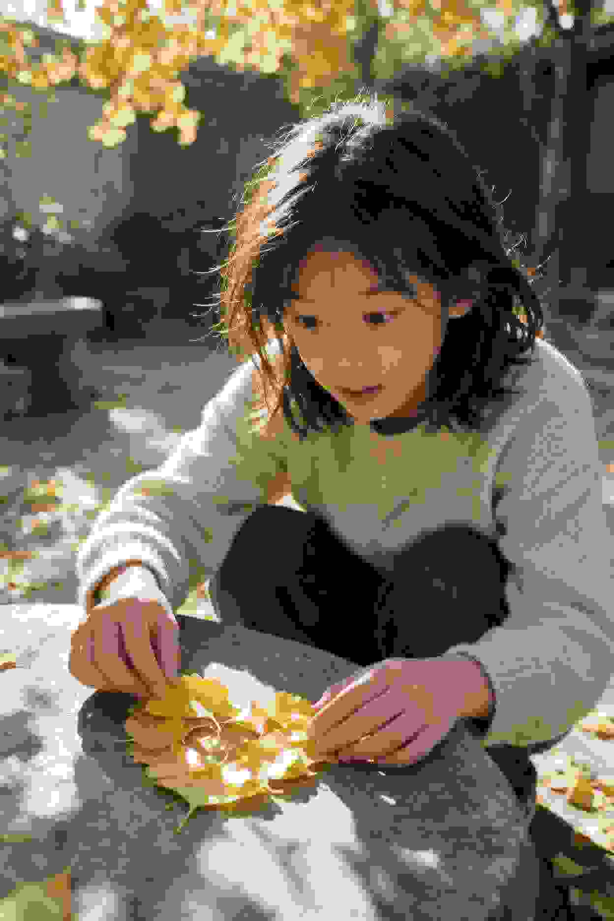 影视作品